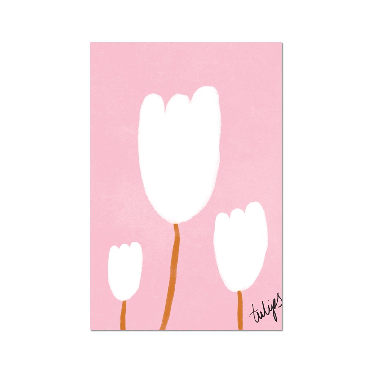 Tulips Print - Pink, White Fine Art Print